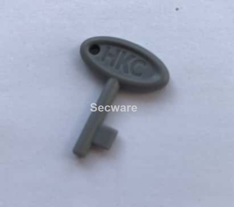 (image for) HKC Replacement Key for the HKC Panic Button